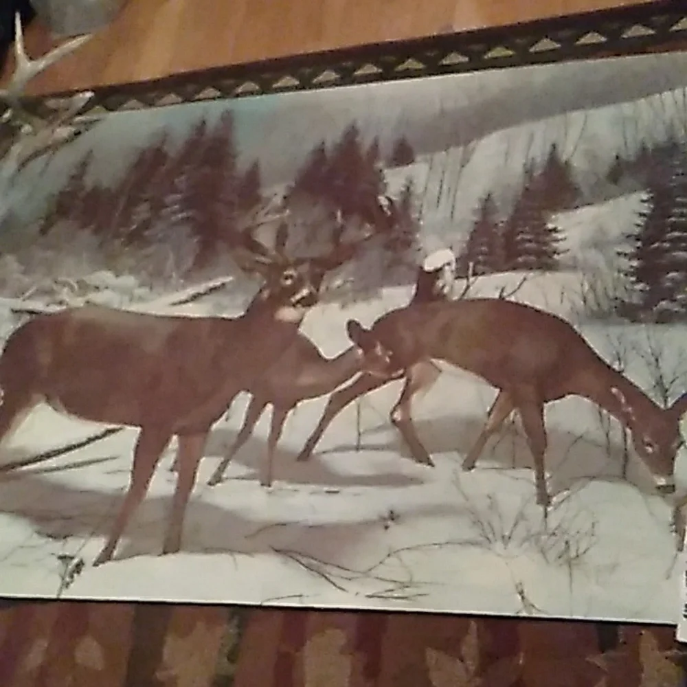 Wall MURAL WILDLIFE WISC VINTAGE MURAL Water Fowl 🦌 RARE WALL HUGE EVC 3' X 5'